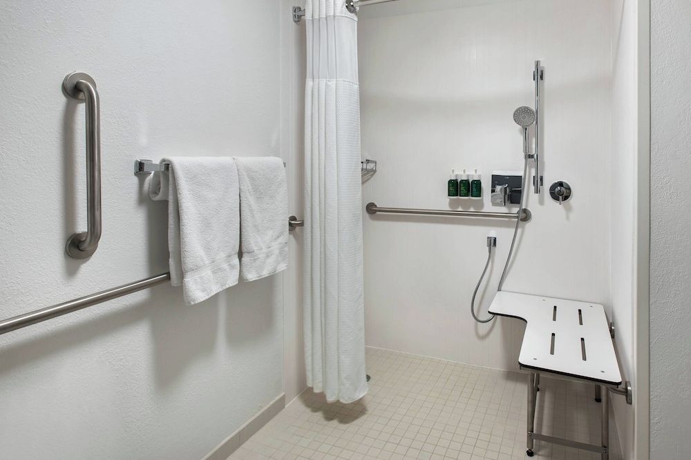 Room, 1 King Bed with Sofa bed, Non Smoking (Mobility/Hearing Access, Roll-In Shwr)