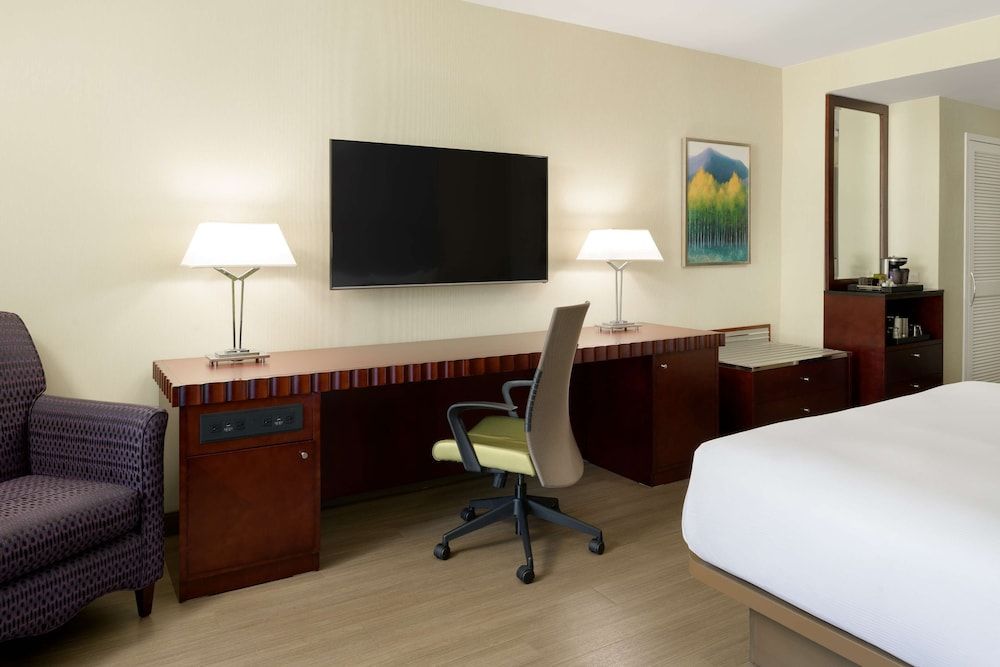 Room, 1 King Bed, Accessible, City View (Mobility & Hearing, Roll-in Shower)