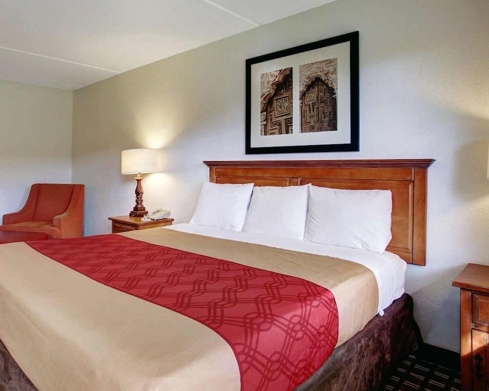 Room, 1 King Bed, Accessible, Smoking