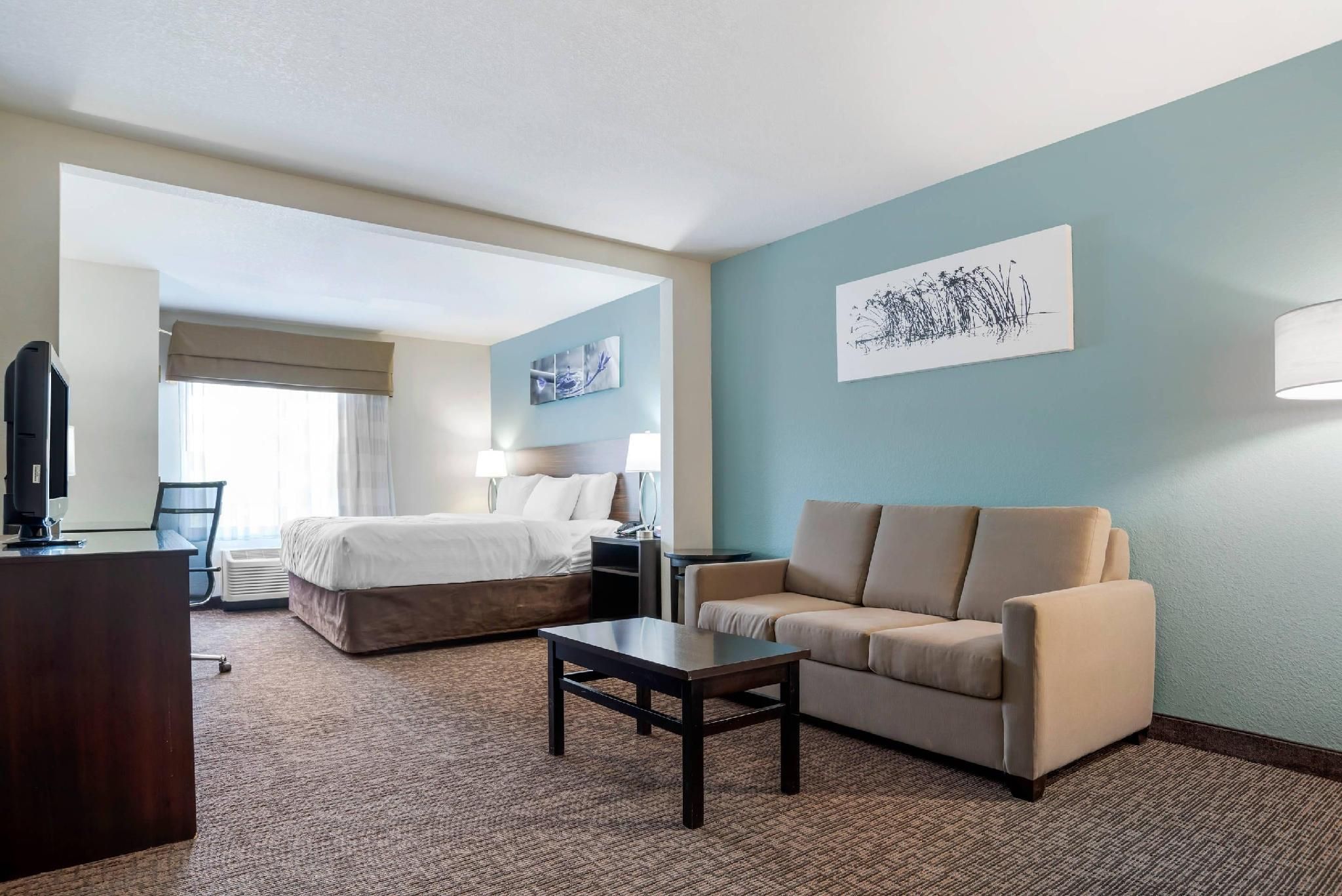 1 King Bed, Suite, Nonsmoking, Accessible