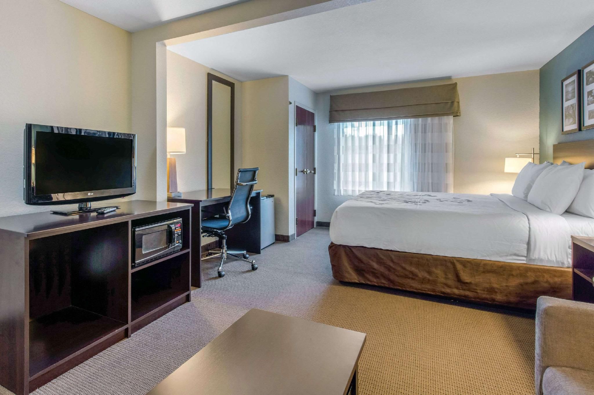 1 King Bed, Suite, Nonsmoking