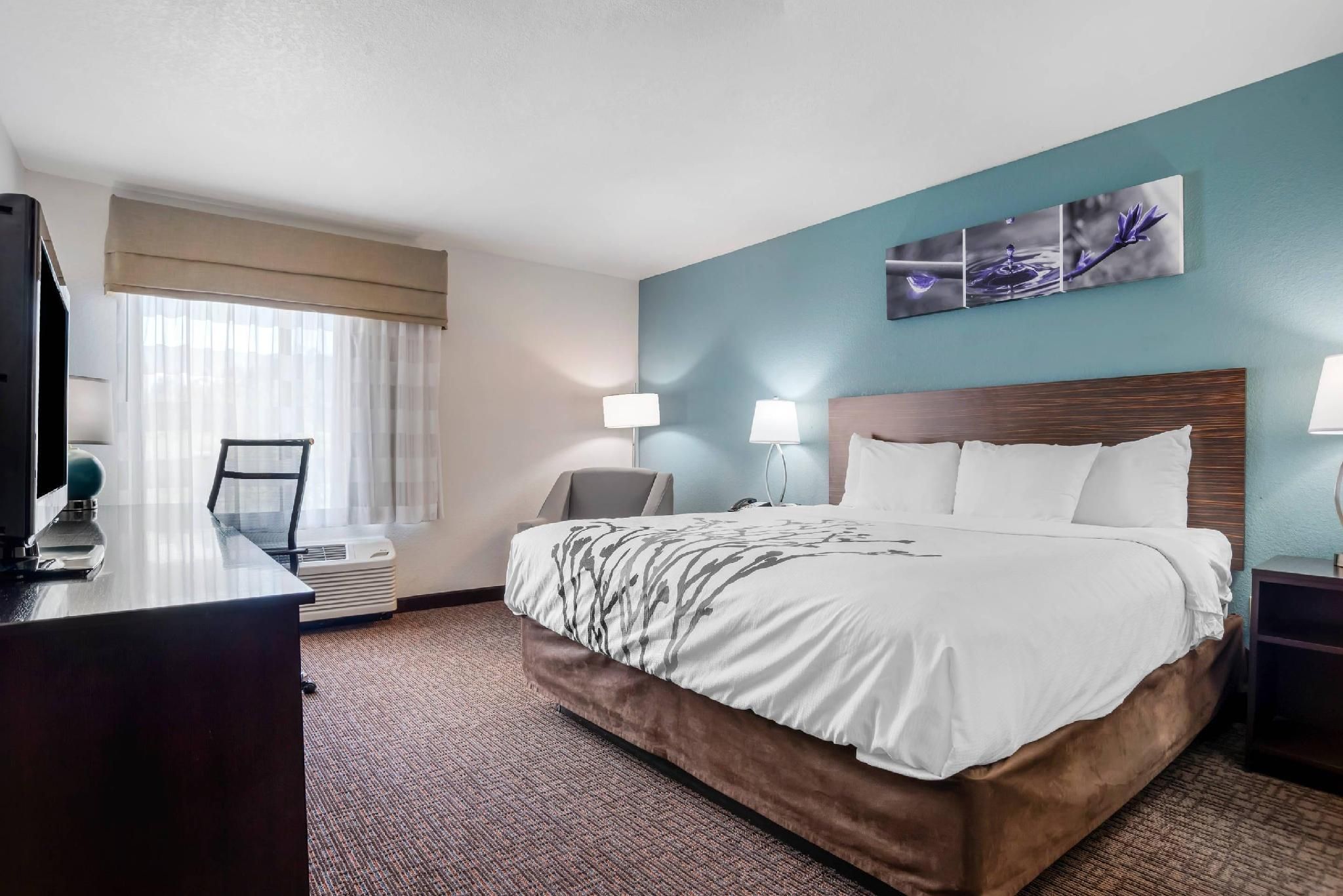 1 King Bed, Nonsmoking, Accessible