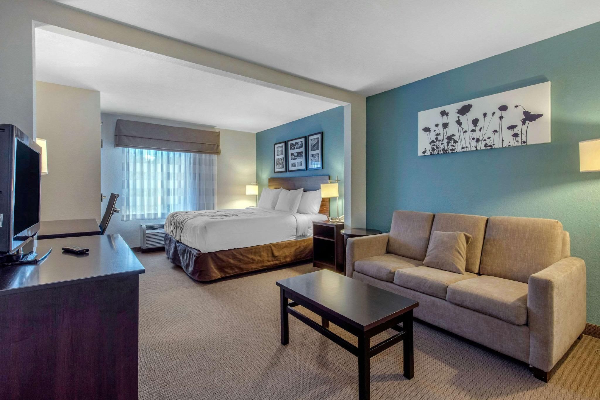 1 King Bed, Suite, Nonsmoking