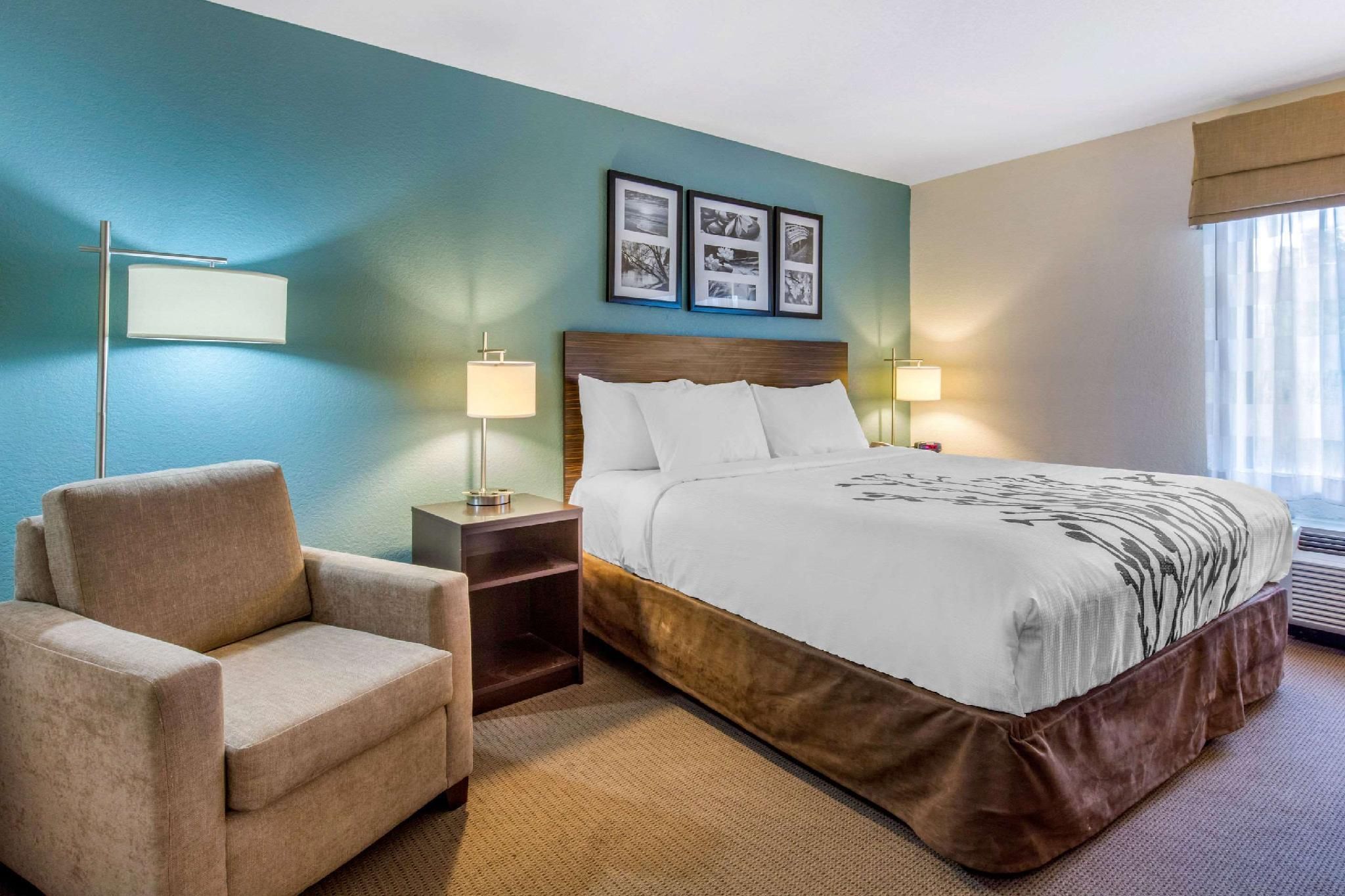 1 King Bed, Nonsmoking