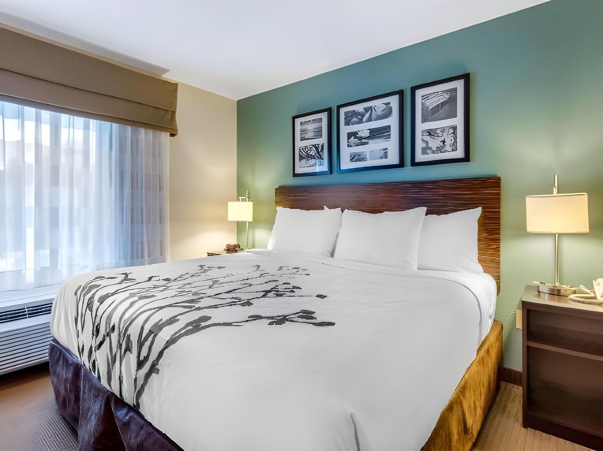 1 King Bed, Nonsmoking, Accessible
