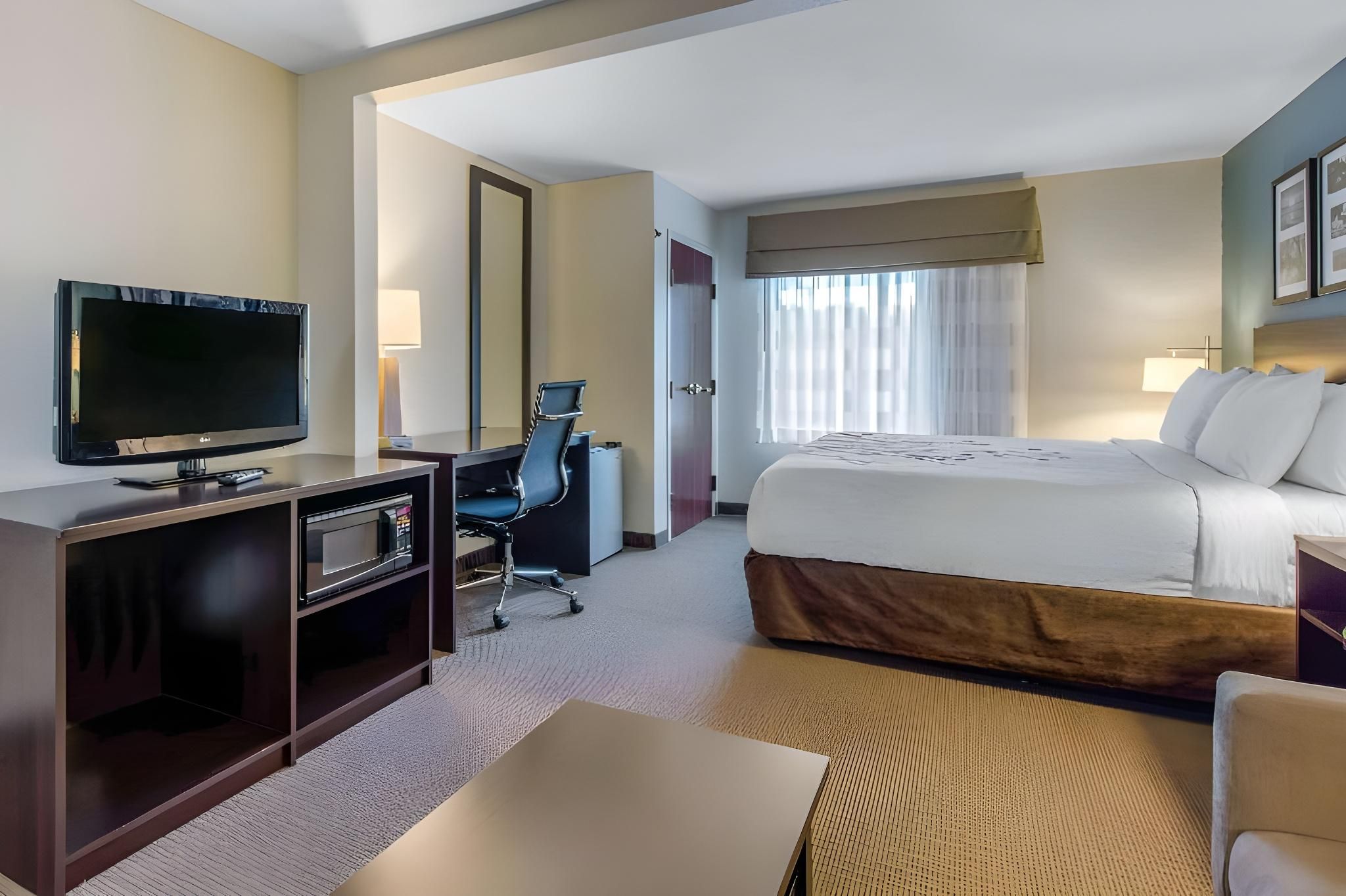 1 King Bed, Suite, Nonsmoking, Accessible