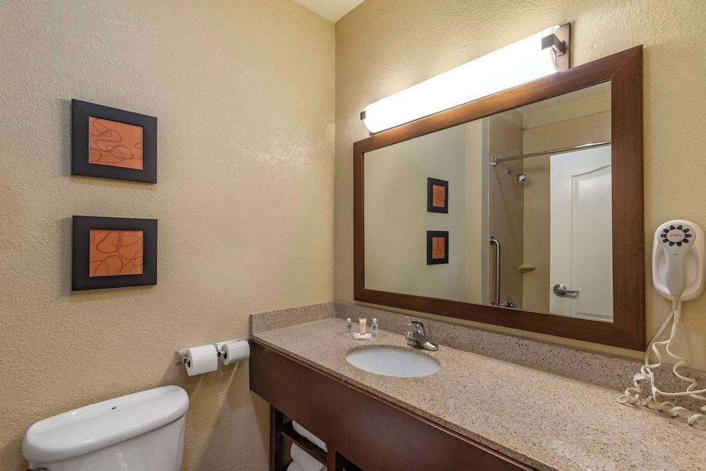 Suite, 1 King Bed with Sofa bed, Accessible, Non Smoking