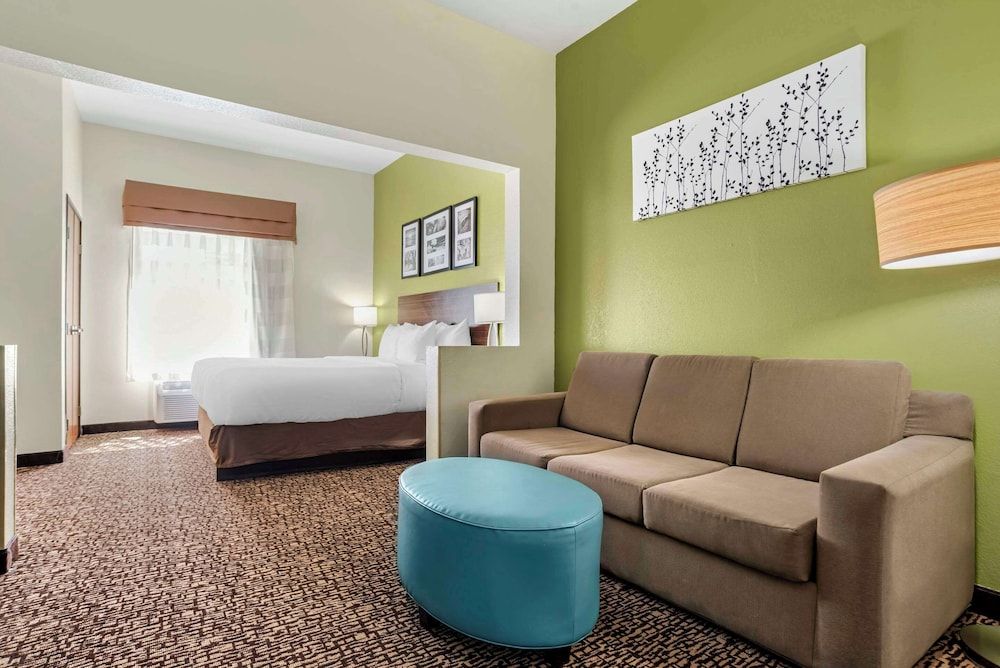 Suite, 1 King Bed with Sofa bed, Non Smoking