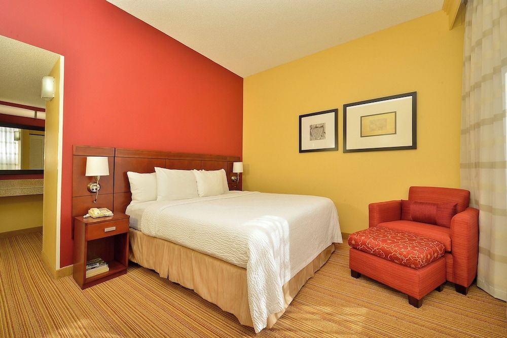 Suite, 1 King Bed with Sofa bed