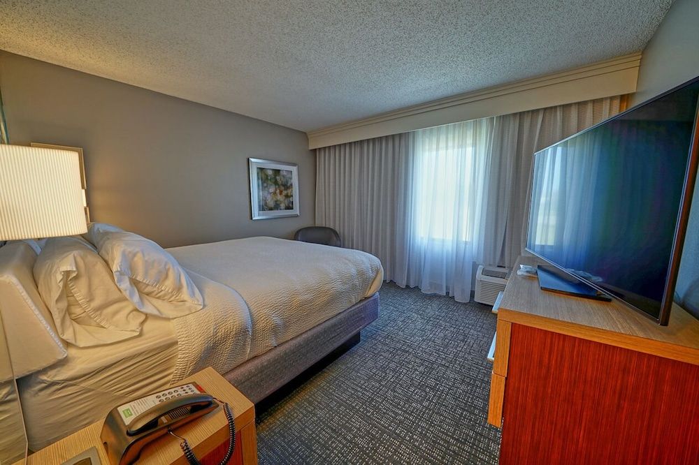 Suite, 1 King Bed with Sofa bed