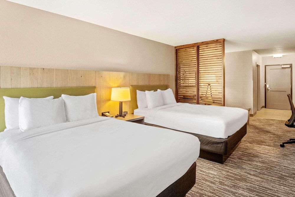 Studio Suite, Multiple Beds, Non Smoking