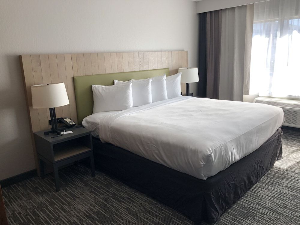 Room, 1 King Bed, Accessible, Non Smoking