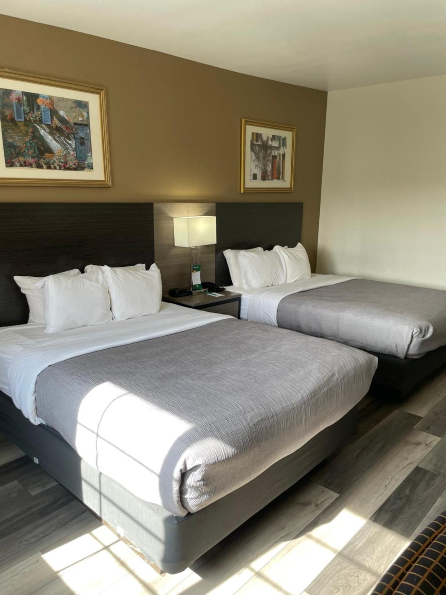 2 Queen Beds, Nonsmoking