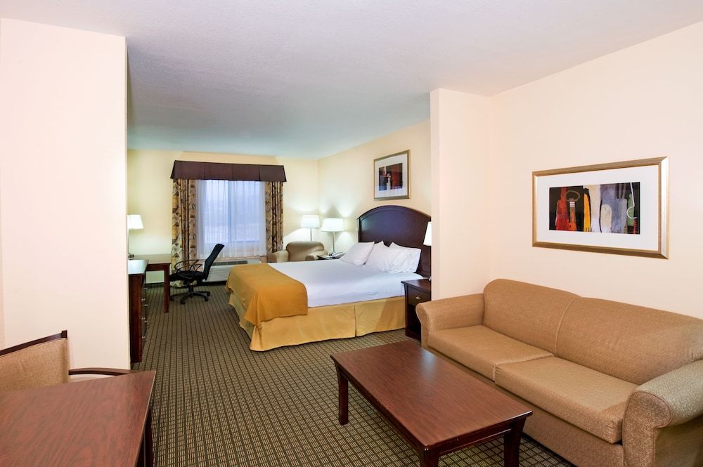 Room, 1 King Bed with Sofa bed, Accessible Bathtub (Comms, Mobility, Access Tub)