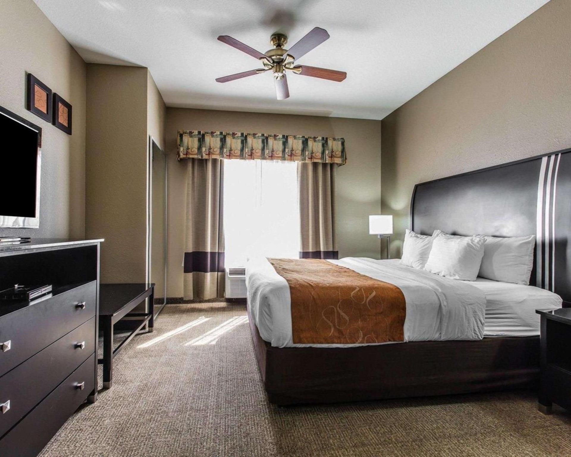 1 Bedroom Suite