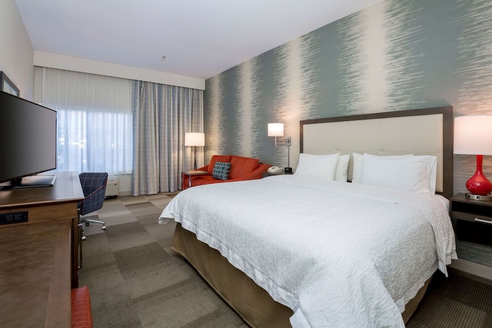 Standard Room, 1 King Bed with Sofa bed