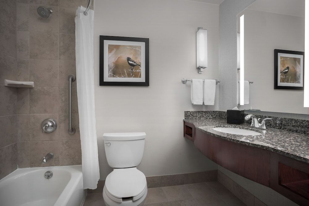 undefined Hilton Garden Inn Denver Downtown 9