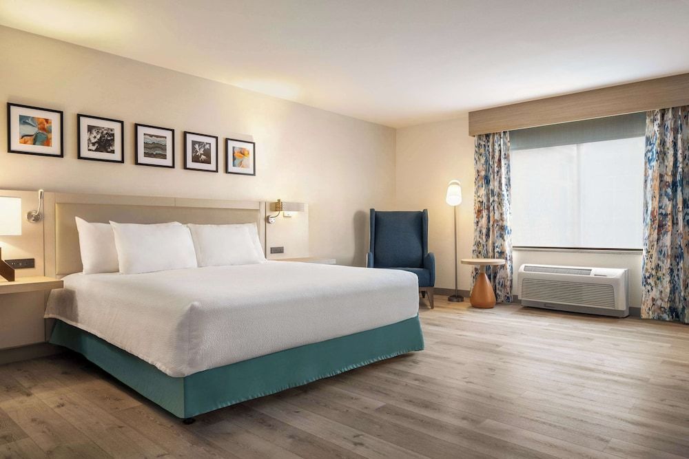 Standard Room, 1 King Bed, Accessible (Roll-In Shower)