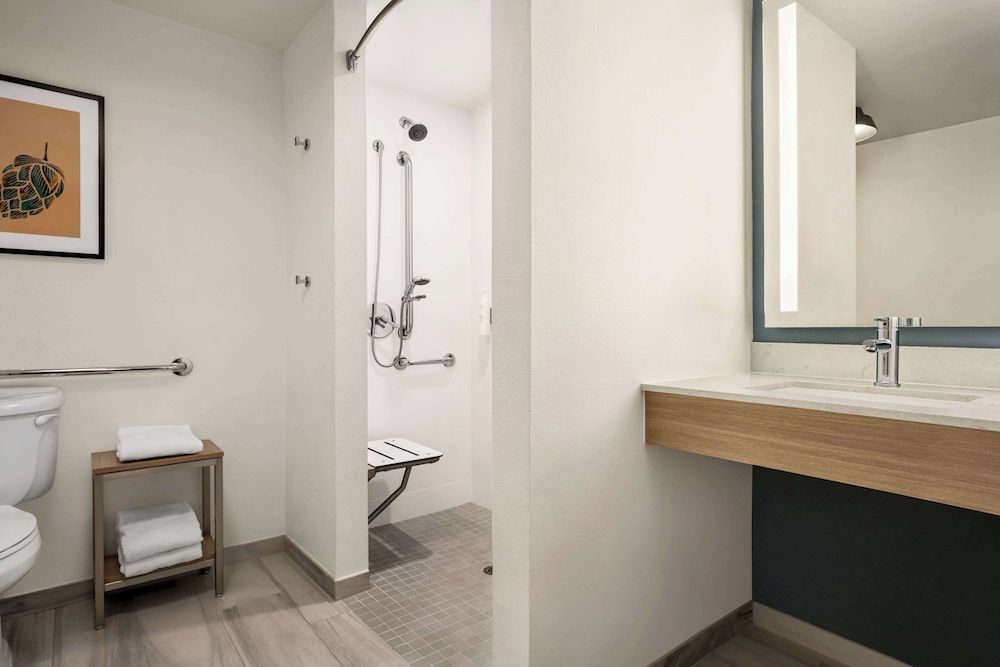 Standard Room, 1 King Bed, Accessible (Roll-In Shower)