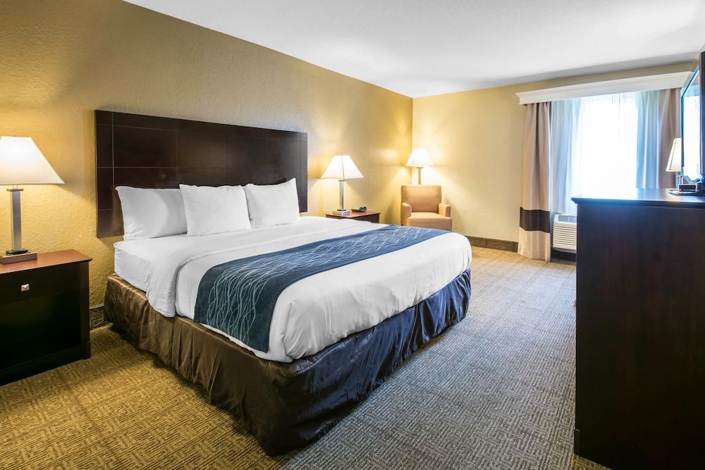 Standard Room, 1 King Bed, Non Smoking