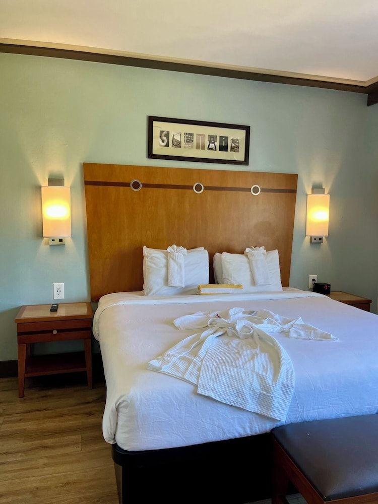 undefined Majestic Hotel South Beach 9