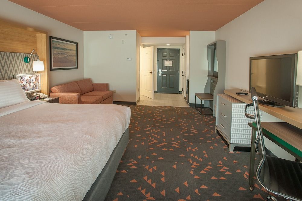 Standard Room, 1 King Bed with Sofa bed