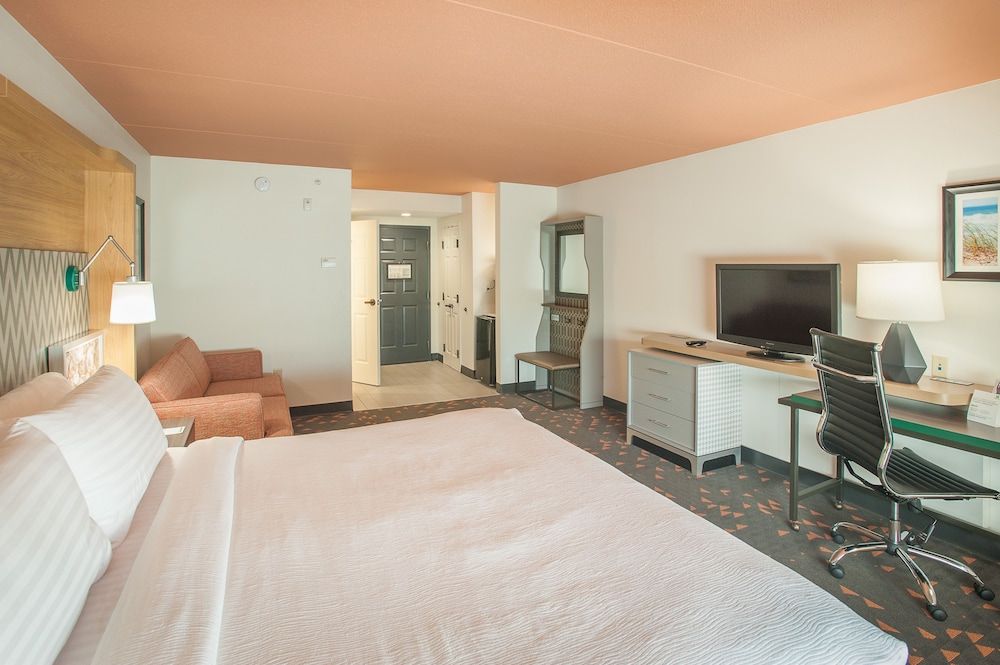 Standard Room, 1 King Bed with Sofa bed