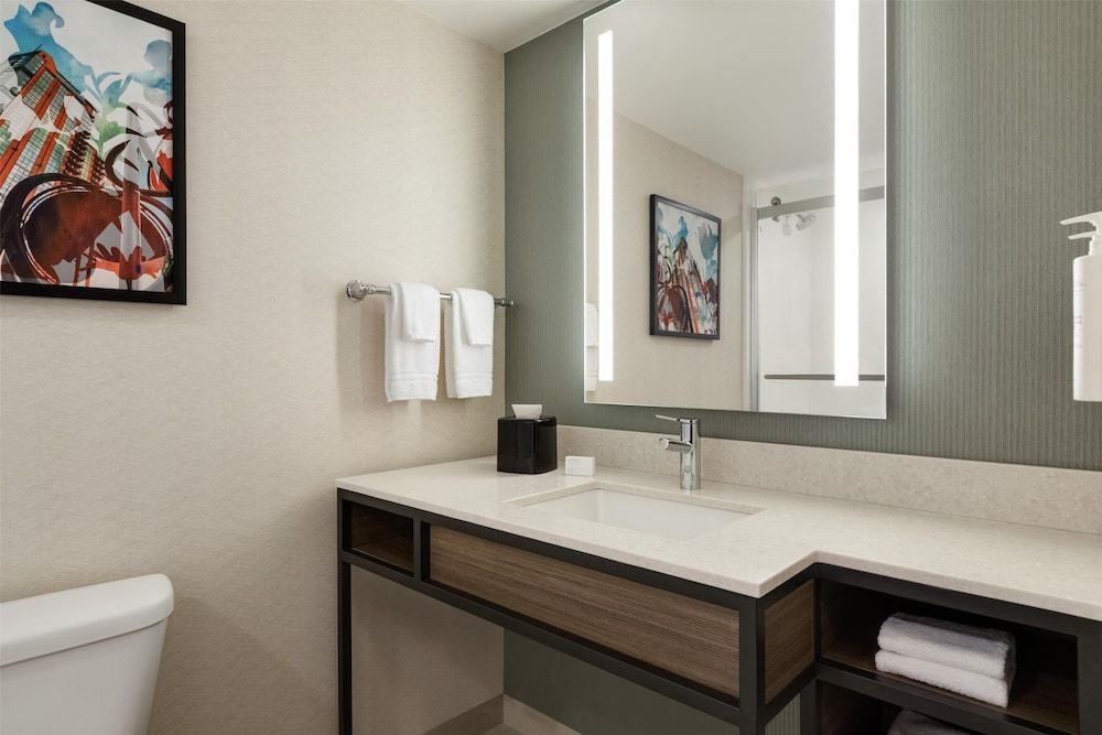 Hilton Garden Inn Atlanta Downtown Single Room, 1 King Bed 6