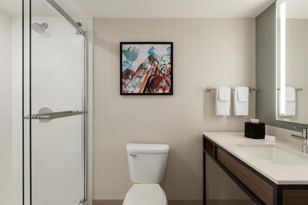 Hilton Garden Inn Atlanta Downtown Single Room, 1 King Bed 5