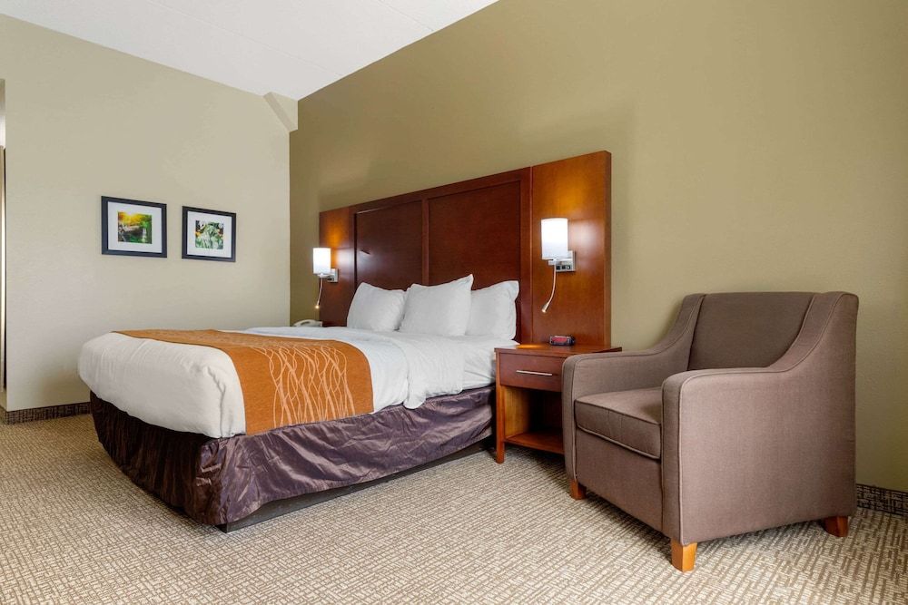 Standard Room, 1 King Bed, Non Smoking