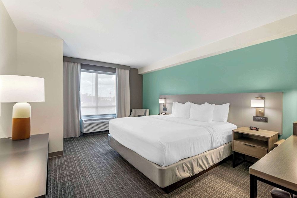 Suite, 1 King Bed with Sofa bed, Accessible, Non Smoking