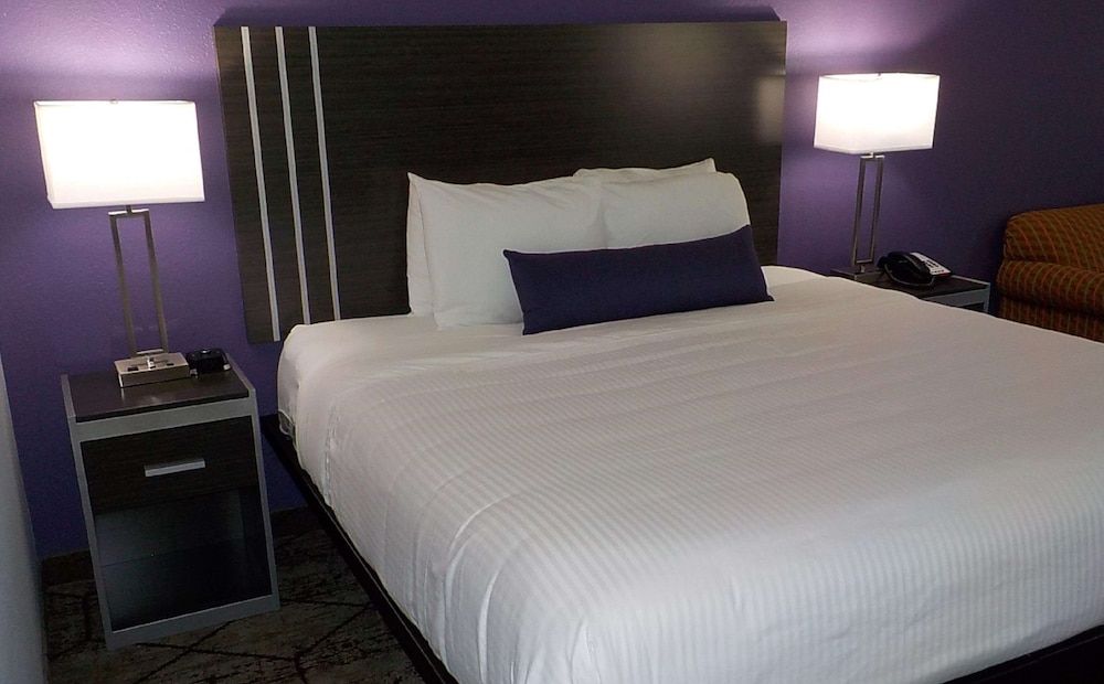 Standard Room, 1 King Bed, Non Smoking, Refrigerator & Microwave