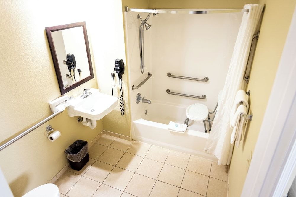 Suite, 1 King Bed with Sofa bed, Accessible, Non Smoking (Efficiency)