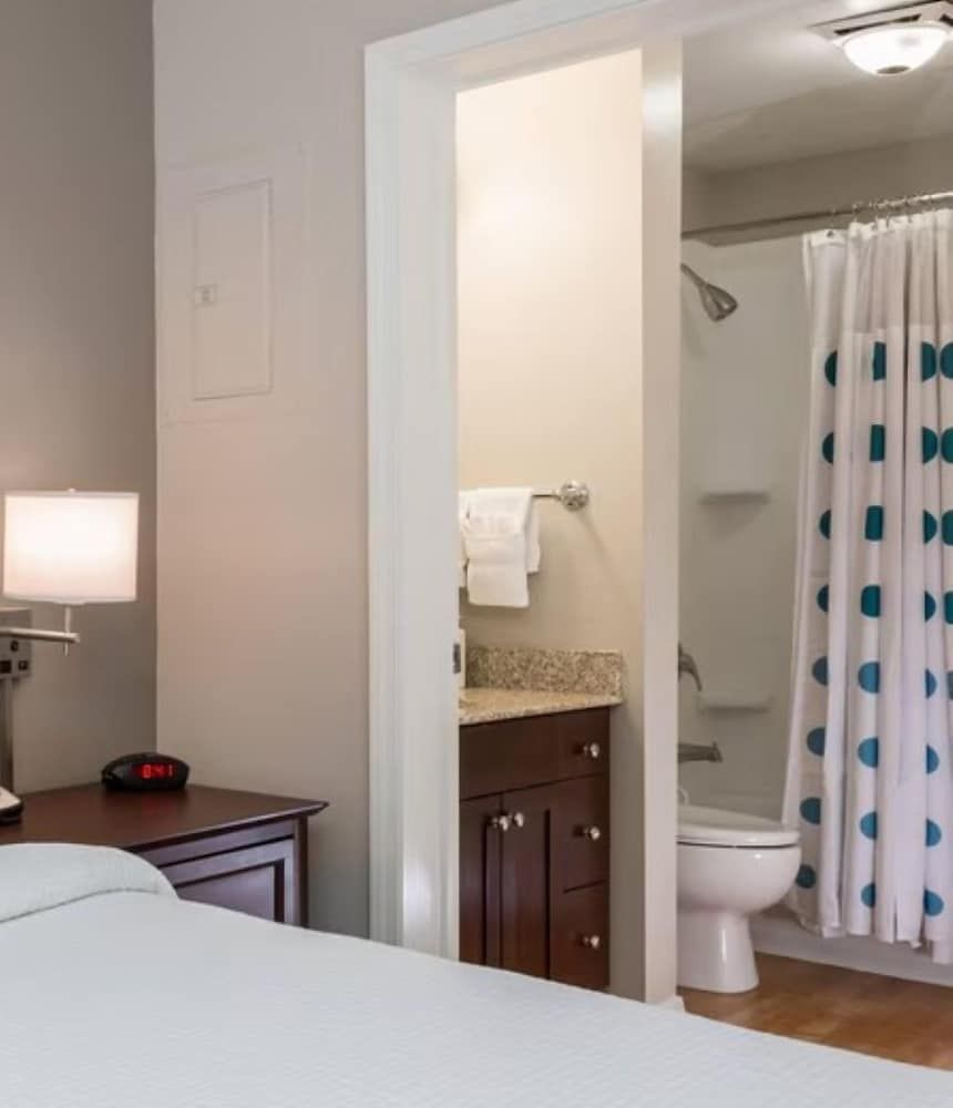 Studio Suite, 1 King Bed with Sofa bed (Mobility Accessible, Roll-In Shower)