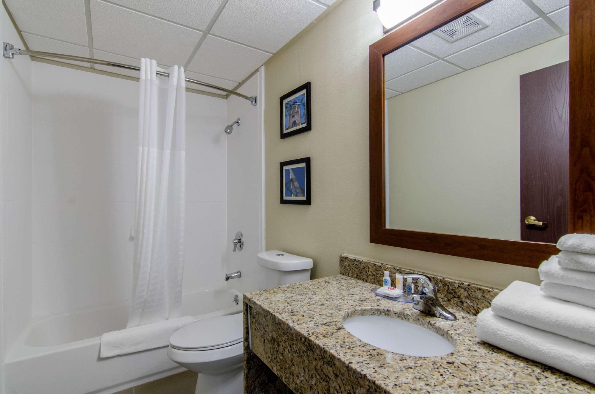 1 King Bed, Suite, Nonsmoking