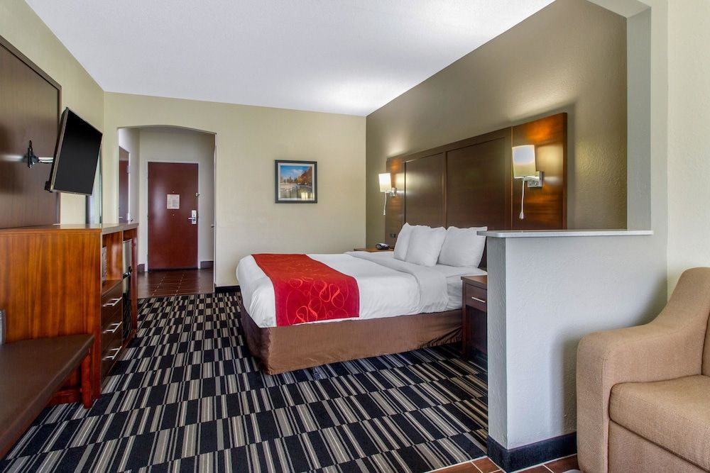 Suite, 1 King Bed with Sofa bed, Accessible, Non Smoking