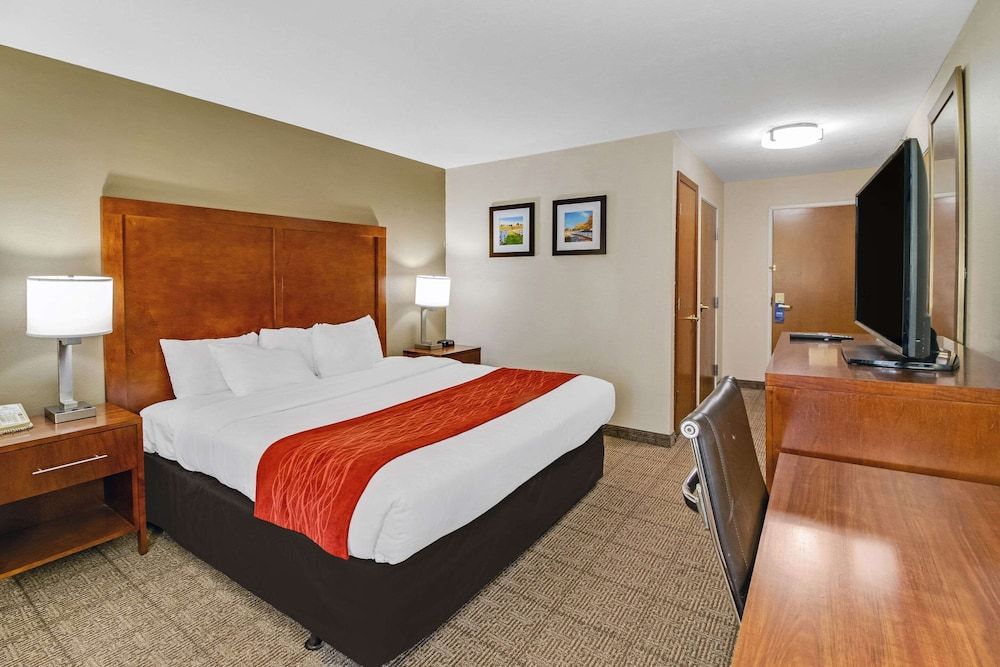 Standard Room, 1 King Bed, Accessible, Non Smoking