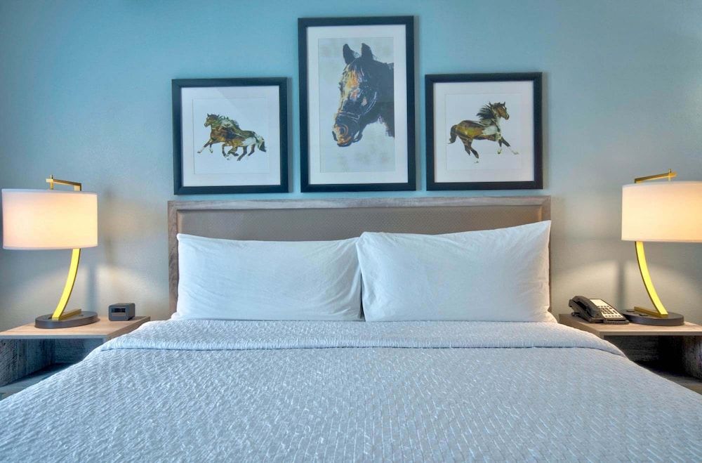 Studio Suite, 1 King Bed with Sofa bed