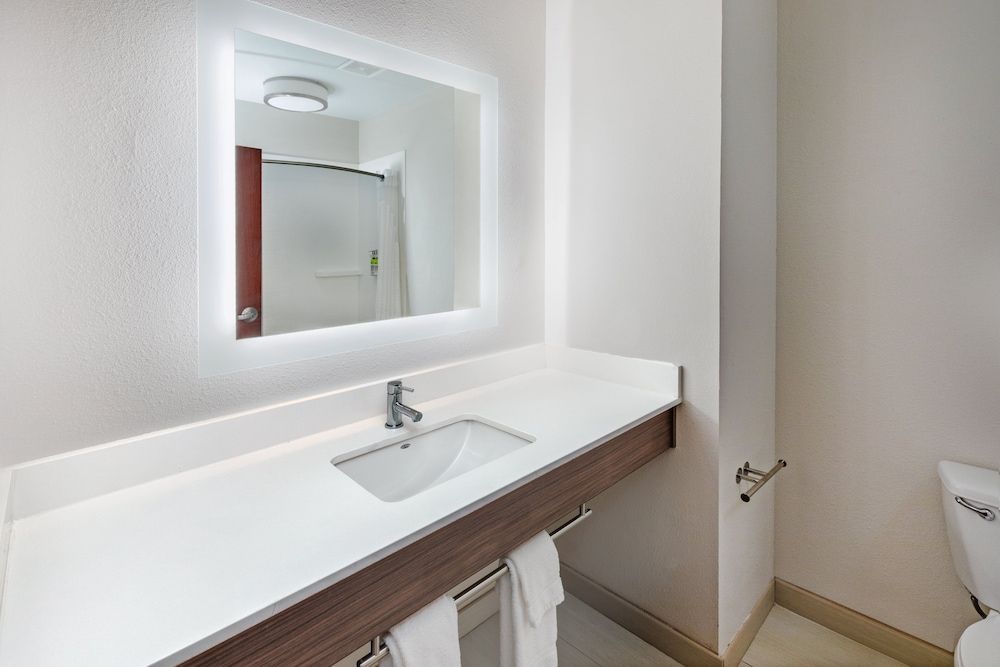 Suite, 1 King Bed