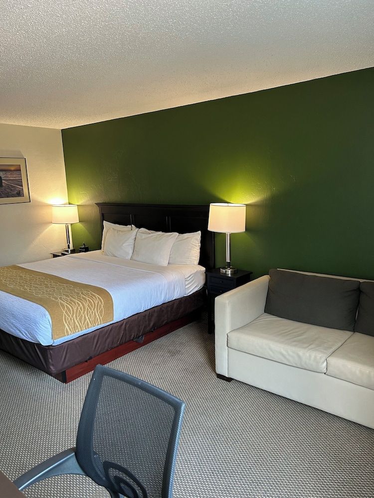 Boarders Inn & Suites by Cobblestone Hotels - Munising Room, 1 King Bed, Non Smoking