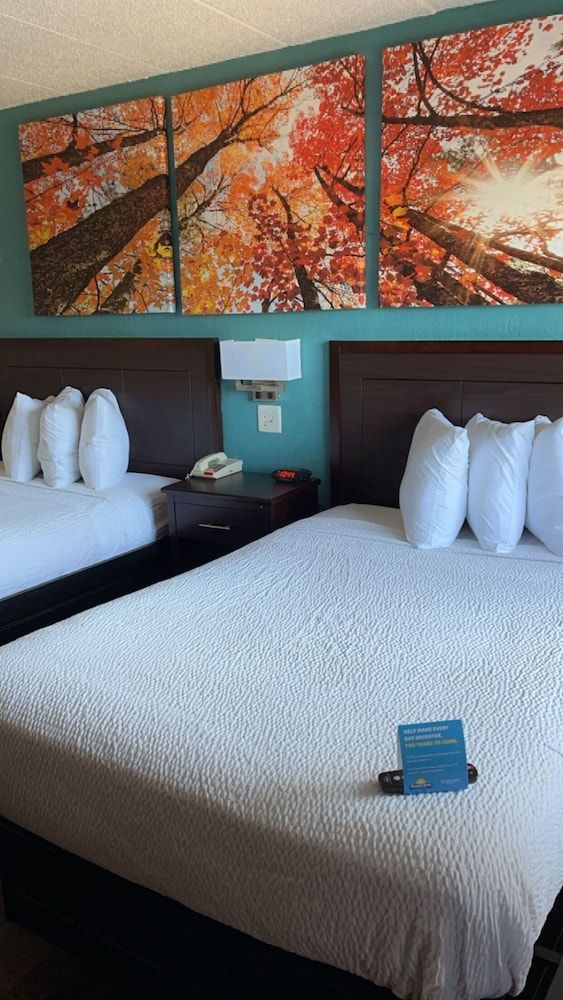 Room, 2 Double Beds, Non Smoking (Pet Friendly)