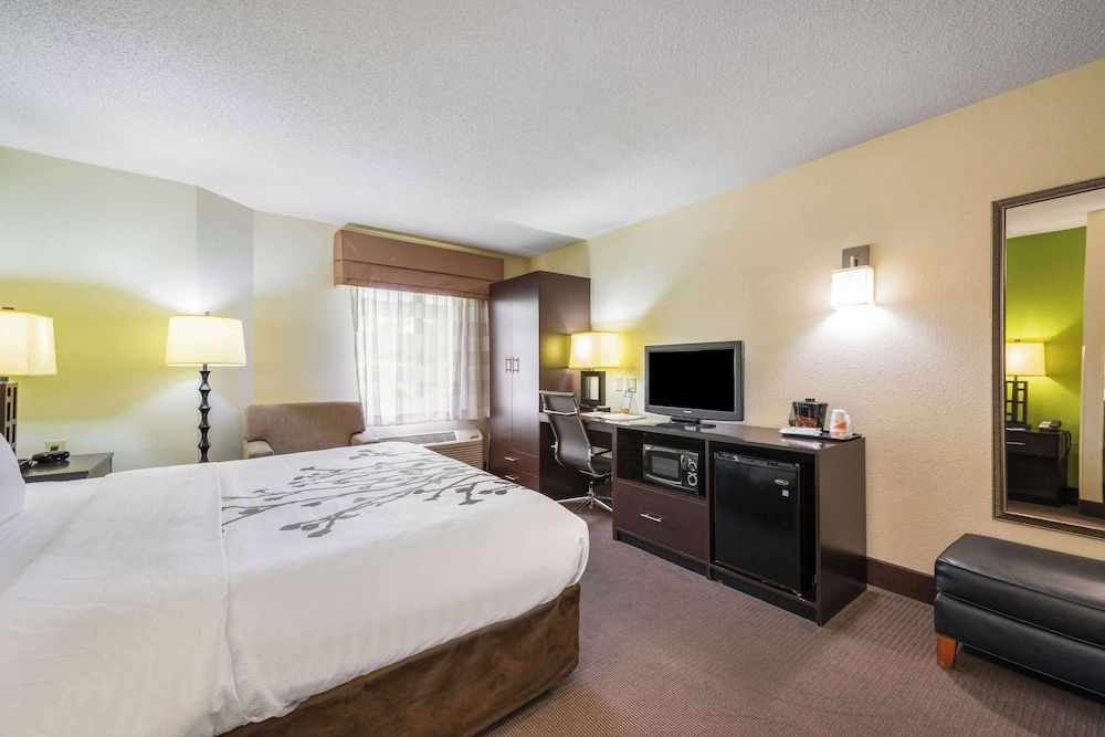 Room, 1 Queen Bed, Accessible, Non Smoking