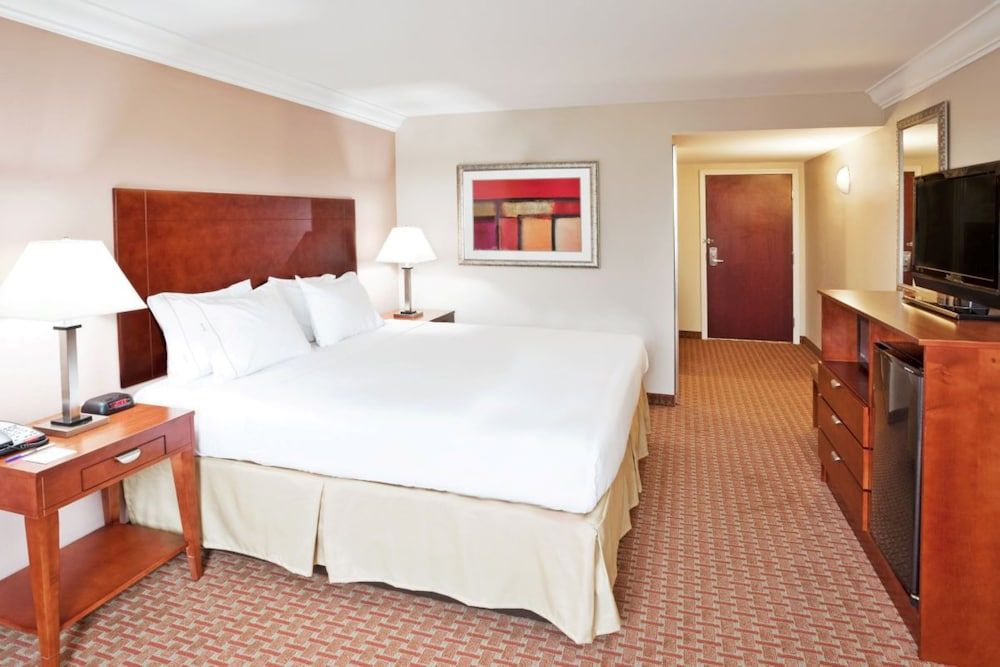 Holiday Inn Express Hotel & Suites Niagara Falls by IHG Standard Room, 1 King Bed 3