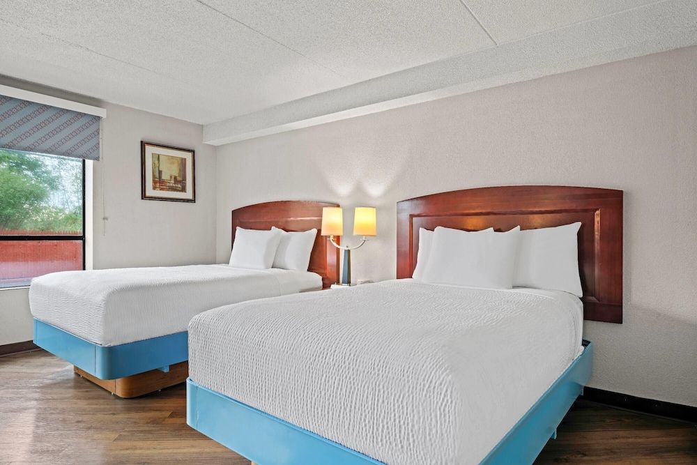 Double Room, 2 Double Beds