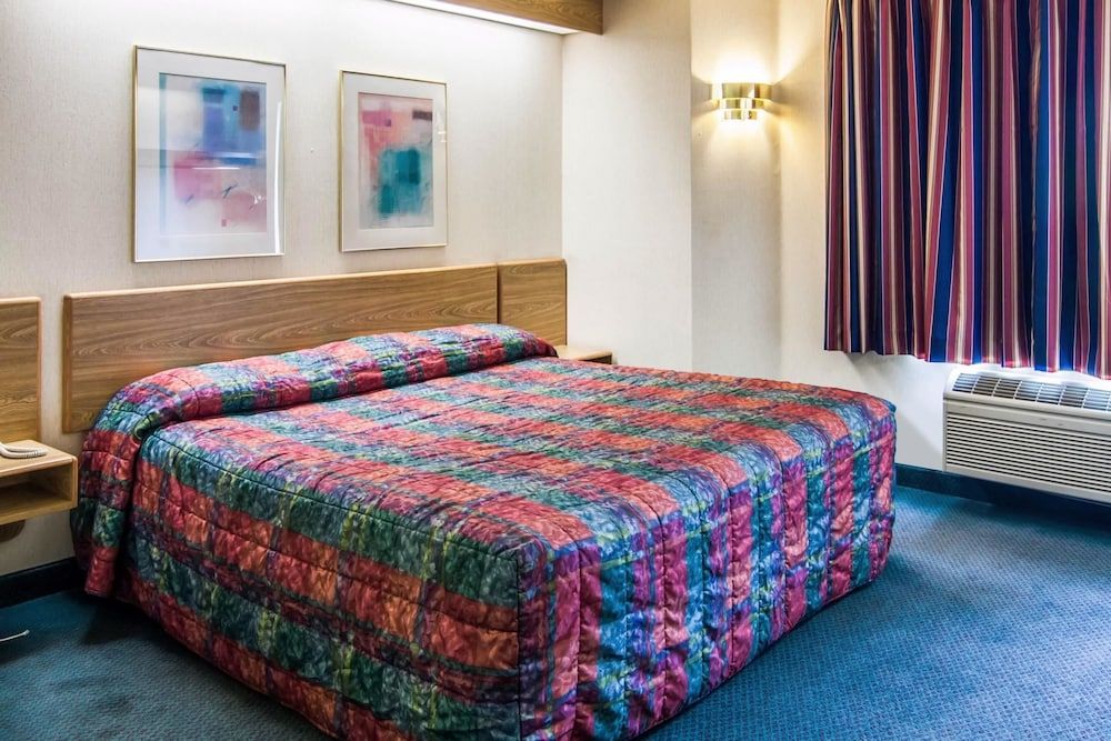 Standard Room, 1 King Bed, Non Smoking