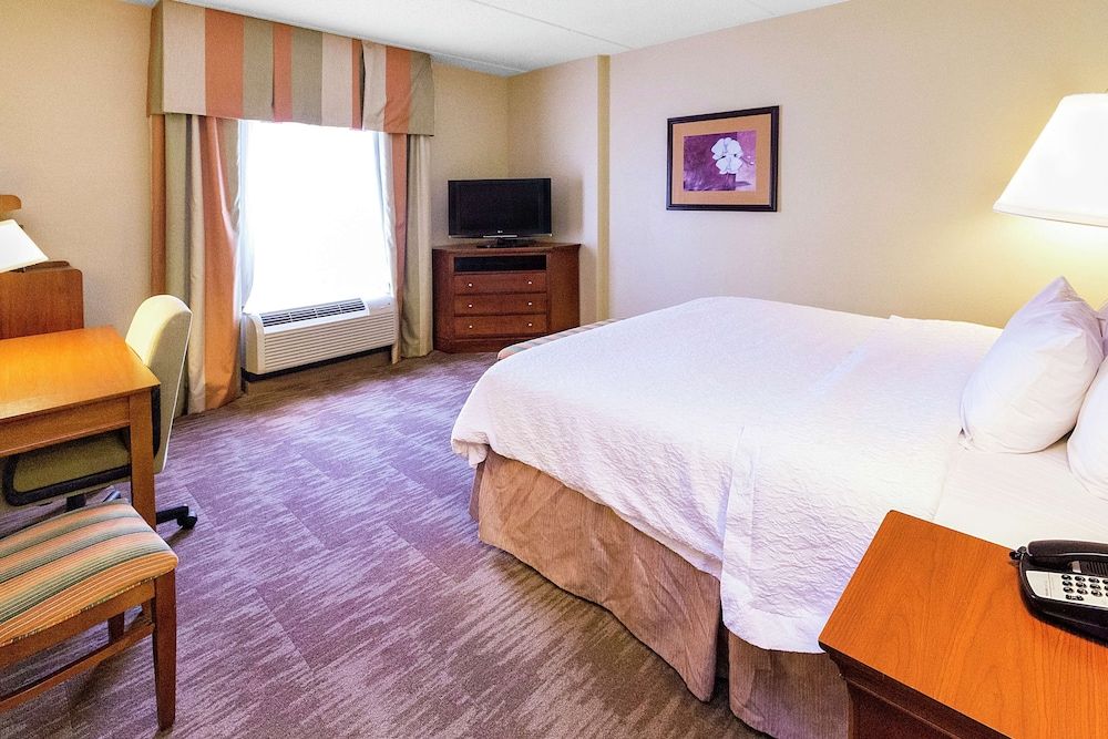 Room, 1 King Bed, Accessible