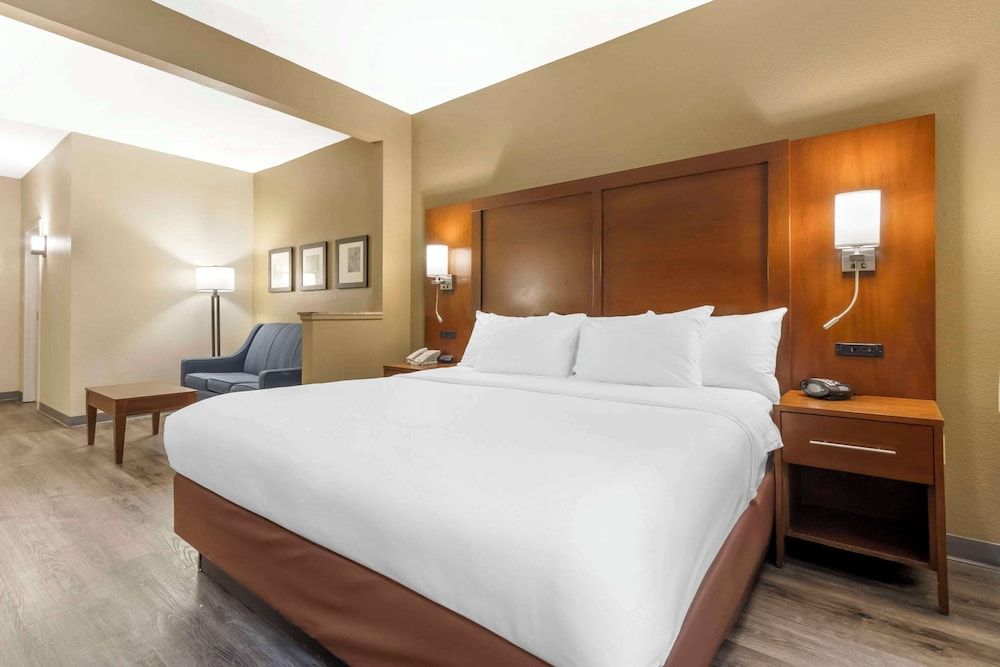 Suite, 1 King Bed with Sofa bed, Accessible, Non Smoking