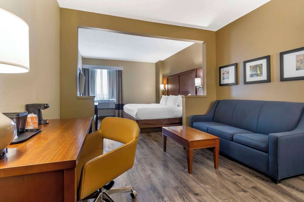1 King Bed, Suite with Sofabed, Nonsmoking, Accessible