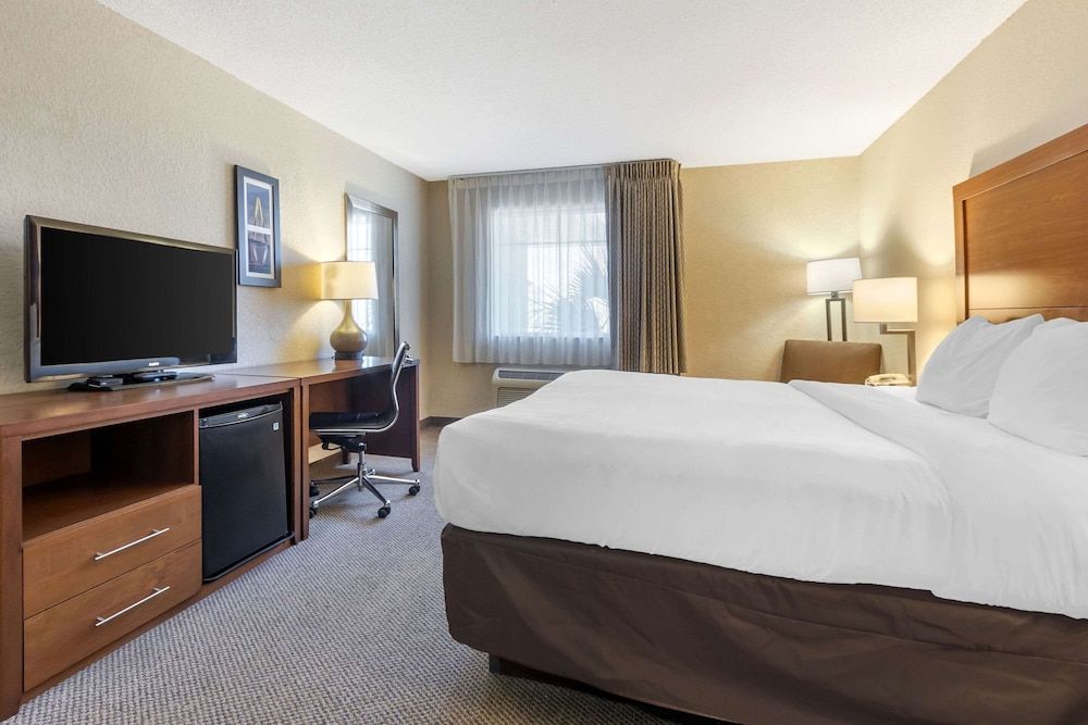 Standard Room, 1 King Bed, Non Smoking (Top Floor)