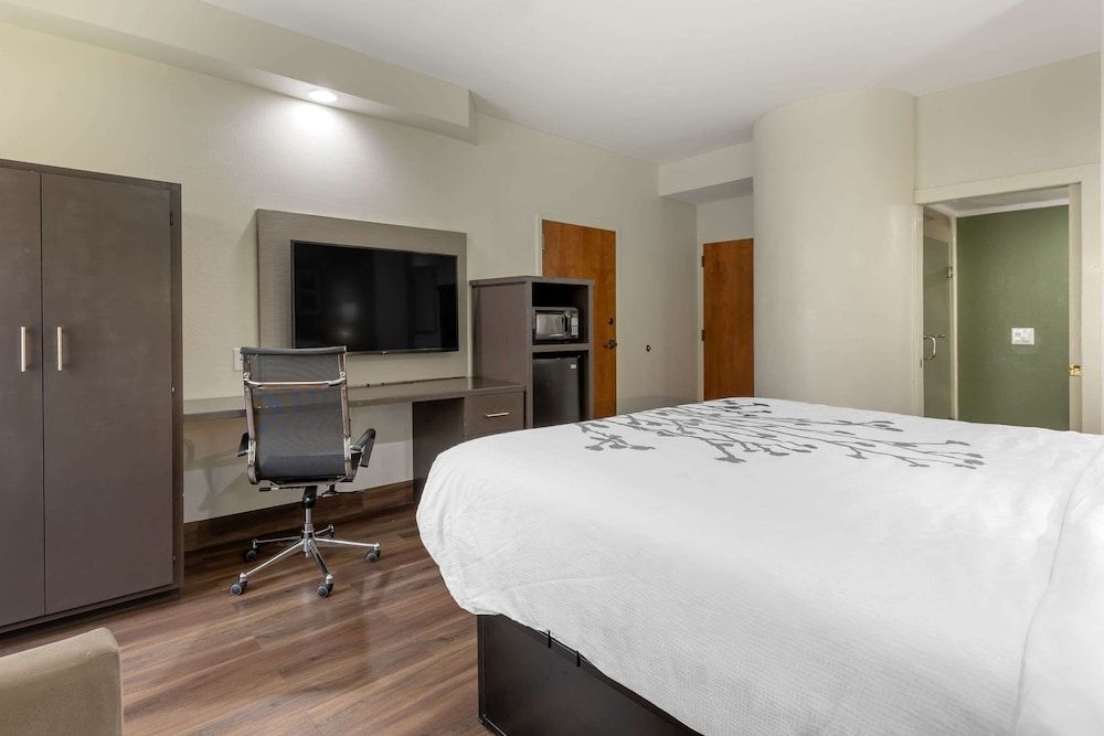Standard Room, 1 King Bed, Non Smoking